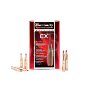HORNADY PALLE CAL 270 130 GR CX